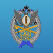СЮИ ФСИН России