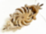 Thumbnail: A Fabulous Antique French Gilded Wood Carving With A Stunning Patina, 1800's