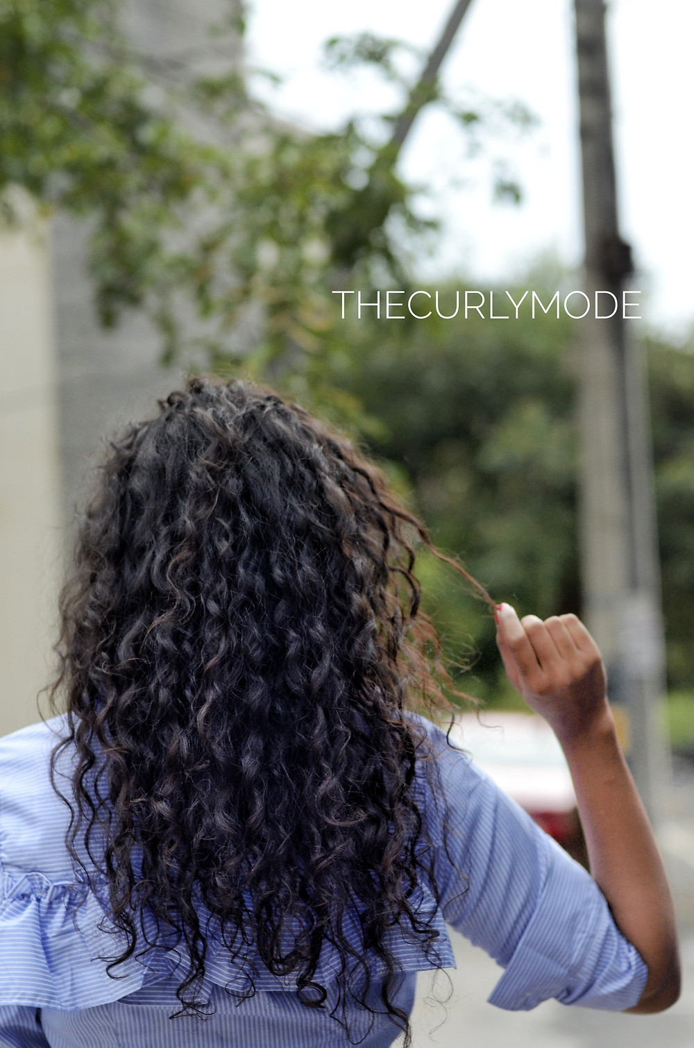 The Curly Mode, Hair care, curly hair
