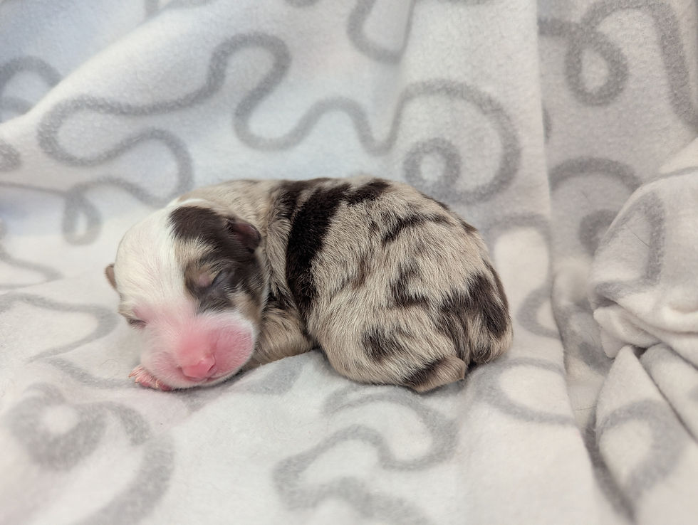 PXL_20260418_191104556