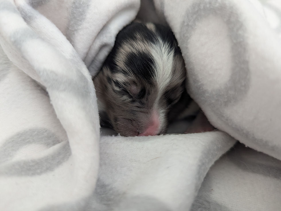 PXL_20260418_185134427