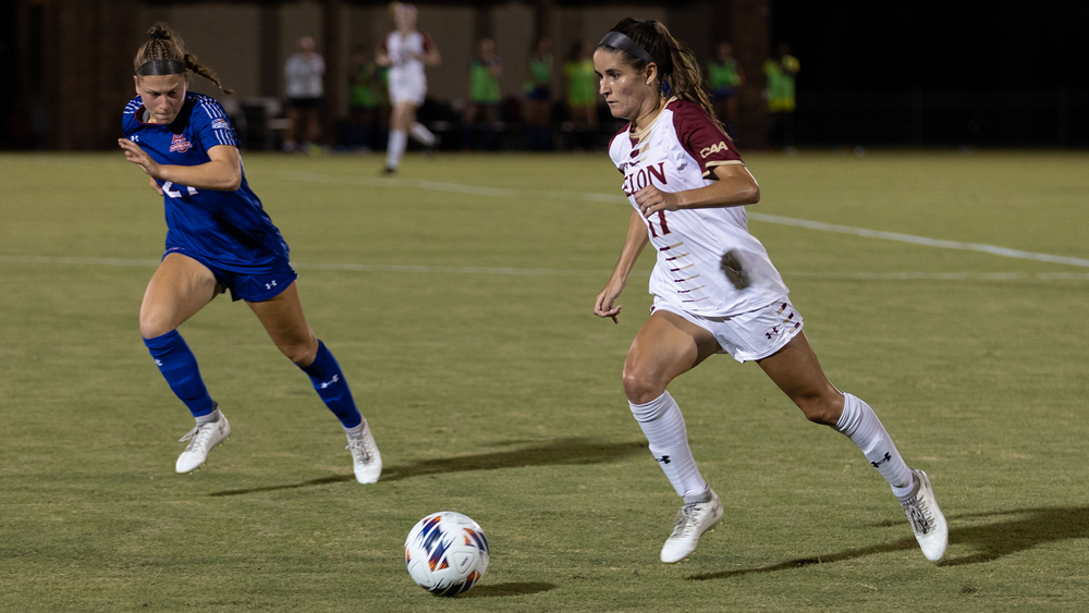 IB SEHS SL IA Example 2 (22/24)