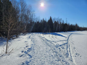Réserve naturelle du Marais Léon-Provancher