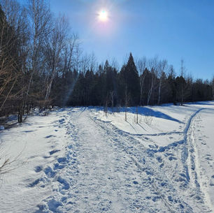 Réserve naturelle du Marais Léon-Provancher
