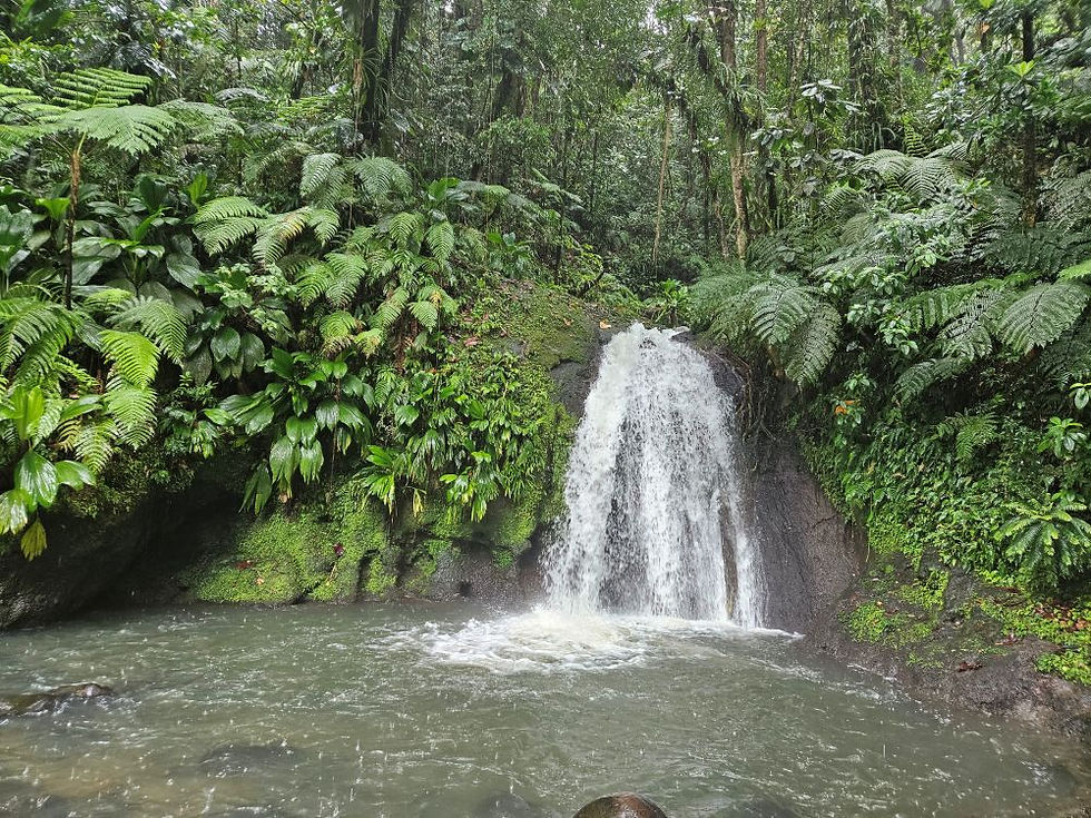 Cascade aux écrevisses