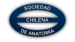 Logo-anatomía.png