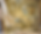 About Us Page (1).png