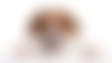 Case Sharing : Does your dog have both Testicles? Understanding Cryptorchidism