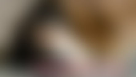 Dog hypothyroidism