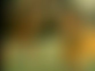 Günaydın İstanbul Kardeş