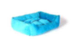 Applying Diatomaceous Earth to dog bedding