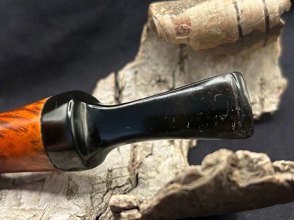 Thumbnail: Bari Modern