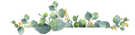 Eucalypt top edge.jpg
