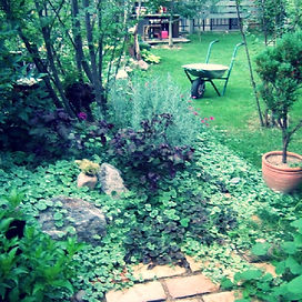 Edited Image 2016-01-16 11-22-36