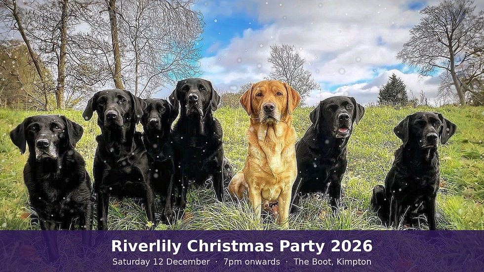 Riverlily Christmas Party 2026