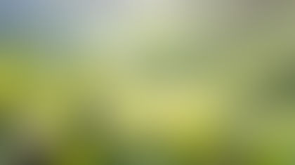 "Eco-Innovation and Growth" by Avy Lee