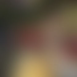 Vicente Romero lands from Madrid