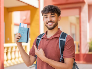 Individual Education Consultants Who Help With International Scholarships: A Complete Guide