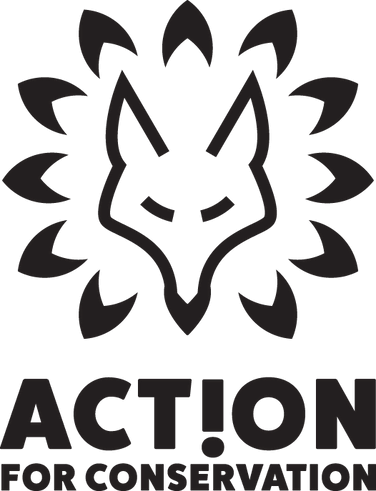 action for conservation taking action
