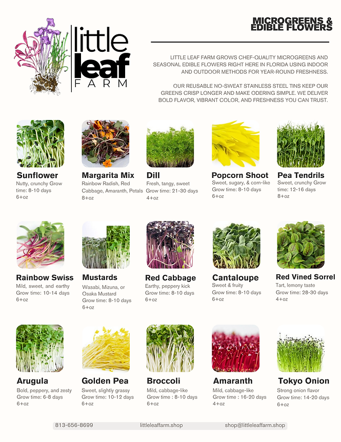 Product Sheet - 1.png