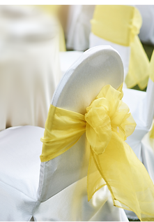 Yellow Organza Sash.png