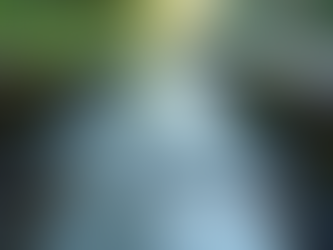 Why Routine Gutter Cleaning Matters for Your Home