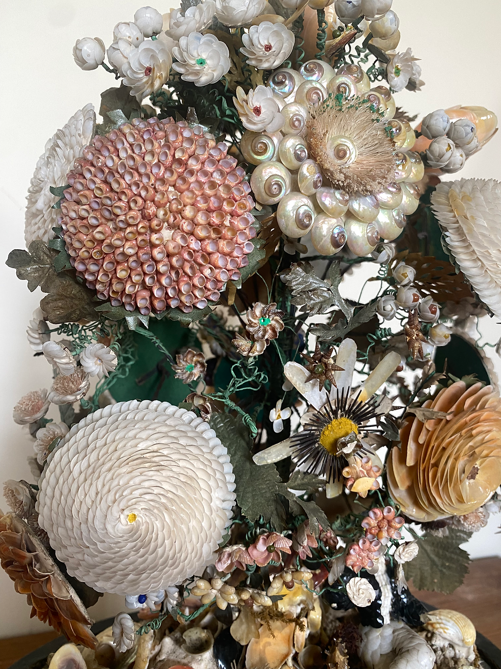 Thumbnail: Victorian Shellwork Flower Dome Sailor Valentine 