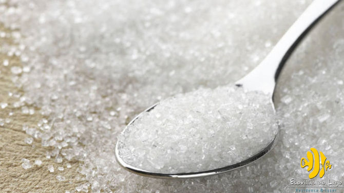 Troca doce: no futuro, baterias podem ser alimentadas por açúcar.