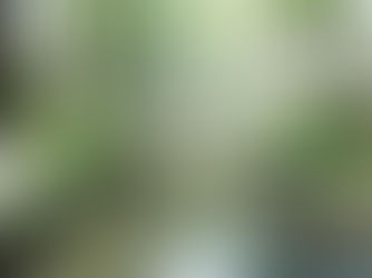 Áreas de preservação permanente