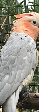 Screenshot 2023-07-22 at 18.39.34.png