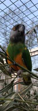 Screenshot 2023-07-22 at 18.47.48.png