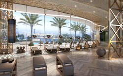 damac 6