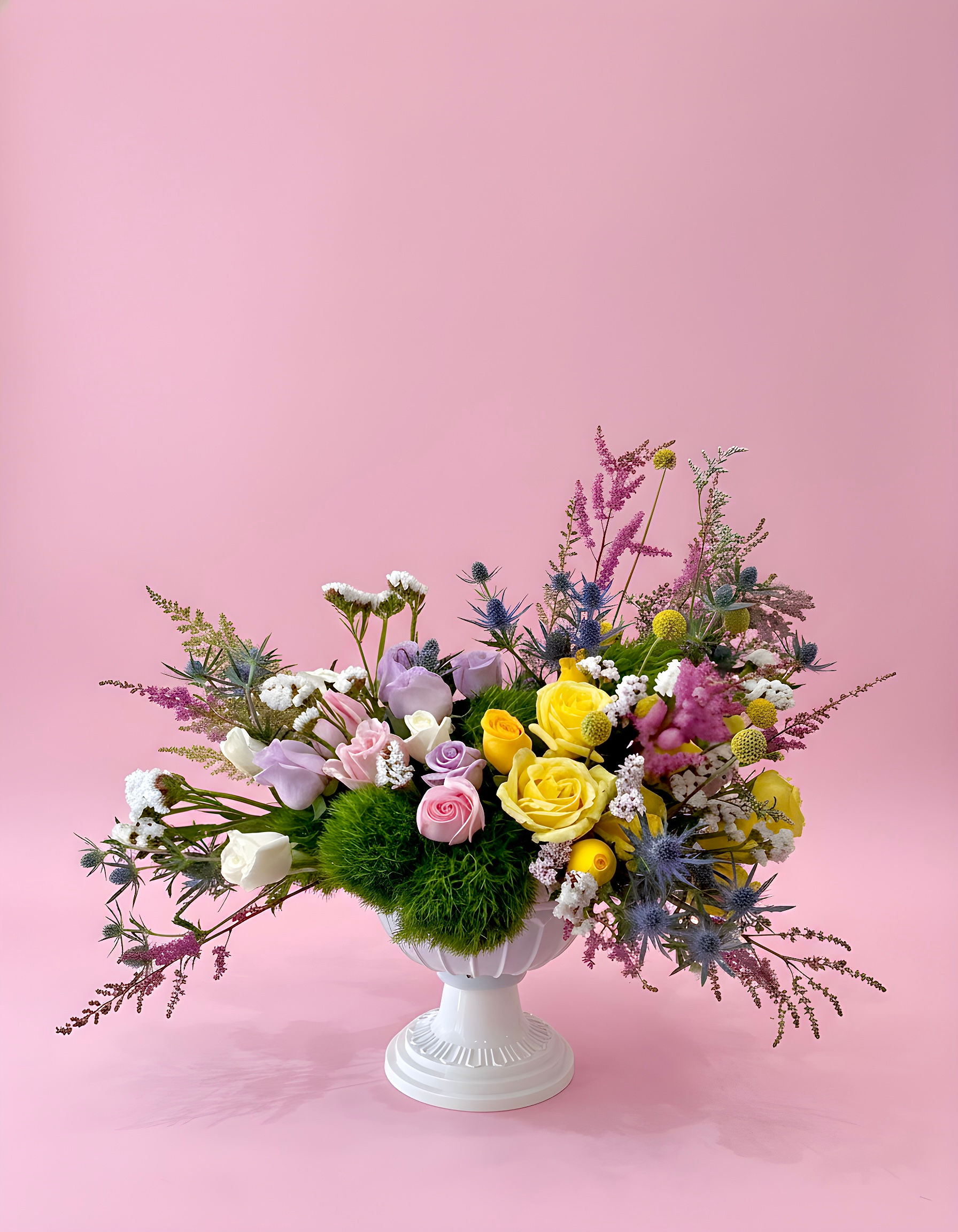Romano 25 Rosas