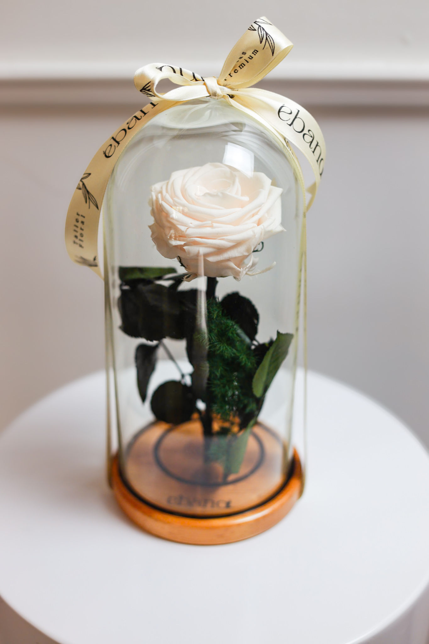 Rosa preservada en capsula de vidrio