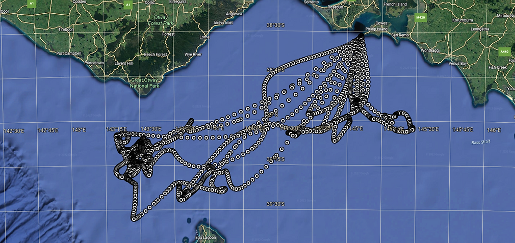 occy path 2.png