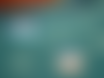 スモールステップ(Small Step)