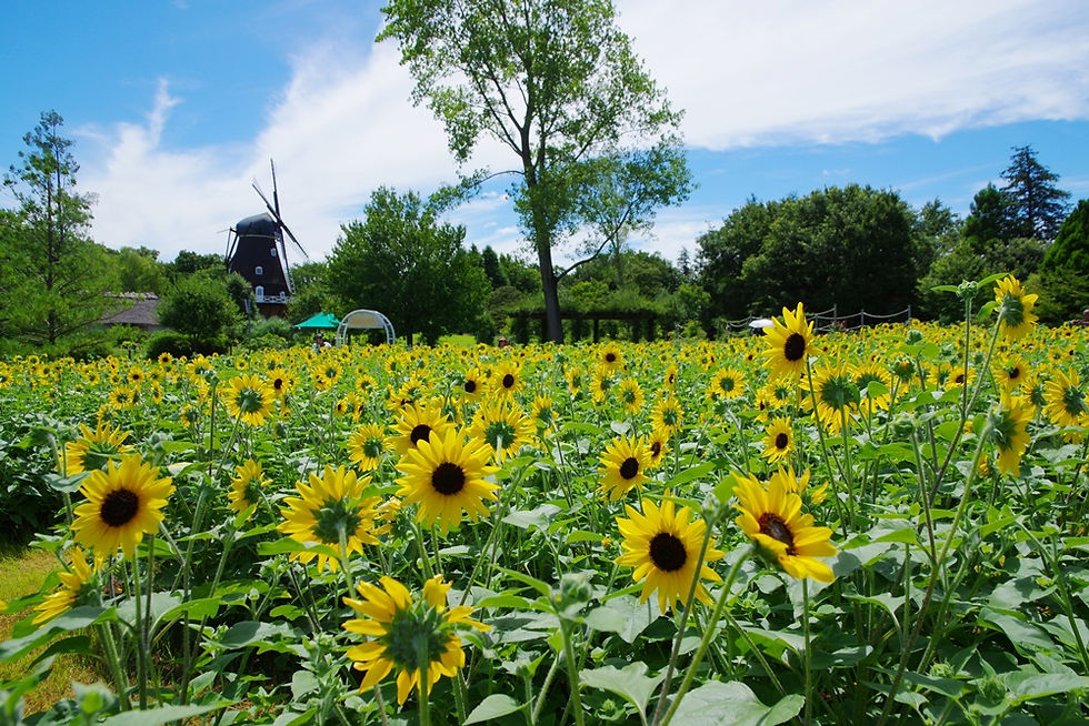 ふなばしアンデルセン公園