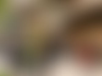 Reininghaus: Wo bleibt unser Mittagessen?