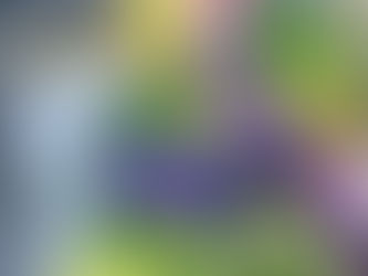 Steirische Künstler in der „Art Gallery Szombathely”