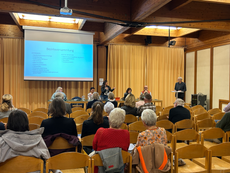 Andritz: Abgesang an die Bezirksdemokratie