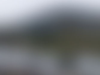 Weinzödl: „Raubmord an der Natur”