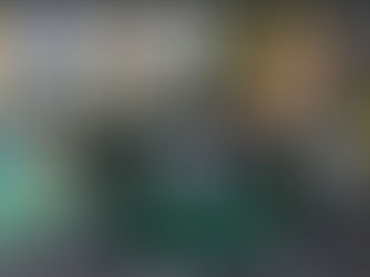 Holding warnt vor Klimaticket-Fake