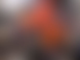 Gradnerstraße: Wintergarten brannte