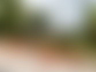 Nach Schul-Tragödie: Schon 40.000 fordern echte Reformen!