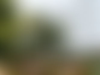 Versicherungsschutz wie bei Arbeitsunfall