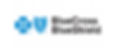 BCBS Logo Icon