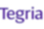 Tegria Logo Icon