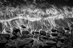 Where the Water Meets the Shore