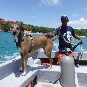 Captain Domingo and our Dive Dog.jpeg
