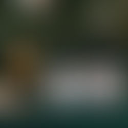 Bring Some Magic This Christmas with Kofra Wines.